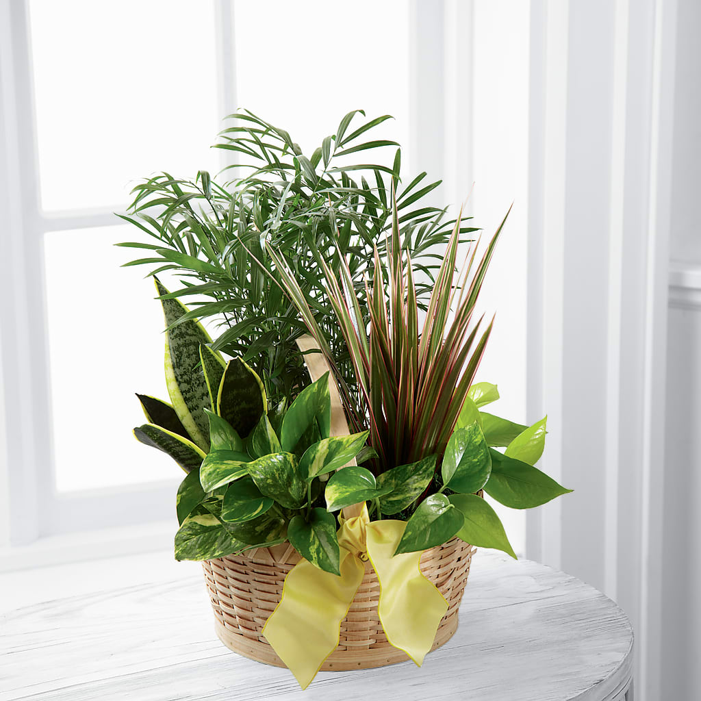 French Garden – J C Snyder Florist By Transcend, Harrisburg PA