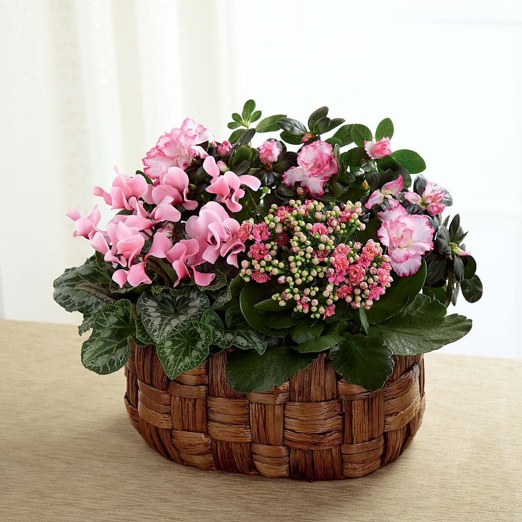 Pink Assortment – J C Snyder Florist By Transcend, Harrisburg PA