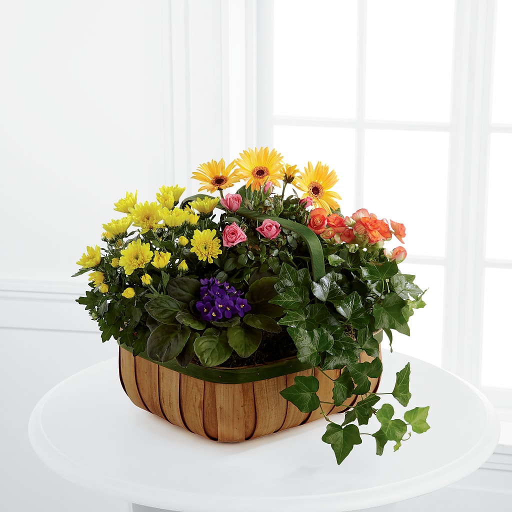 Gentle Blossoms Basket – J C Snyder Florist By Transcend, Harrisburg PA