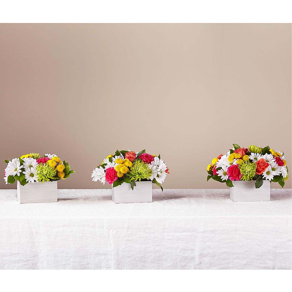 Sorbet Bouquet – J C Snyder Florist By Transcend, Harrisburg PA
