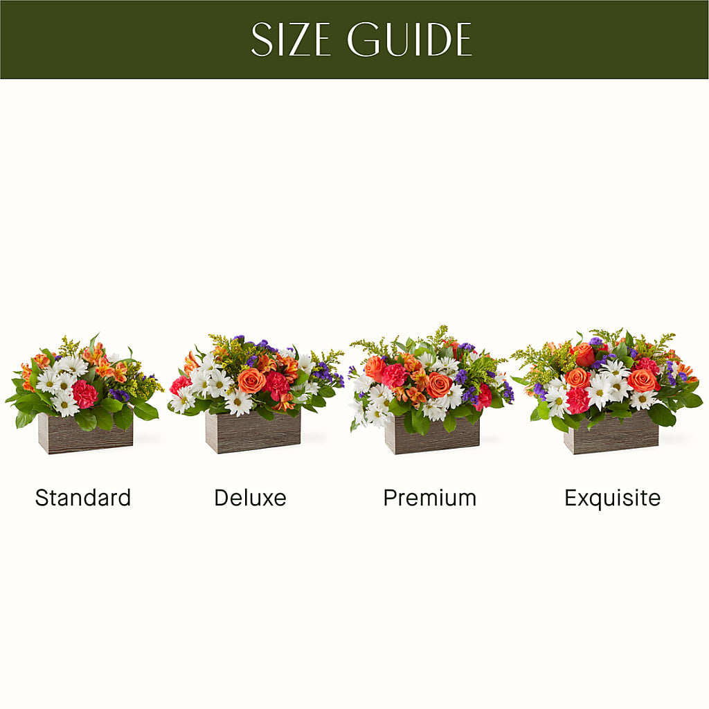Oopsie Daisy Box Bouquet – J C Snyder Florist By Transcend, Harrisburg PA