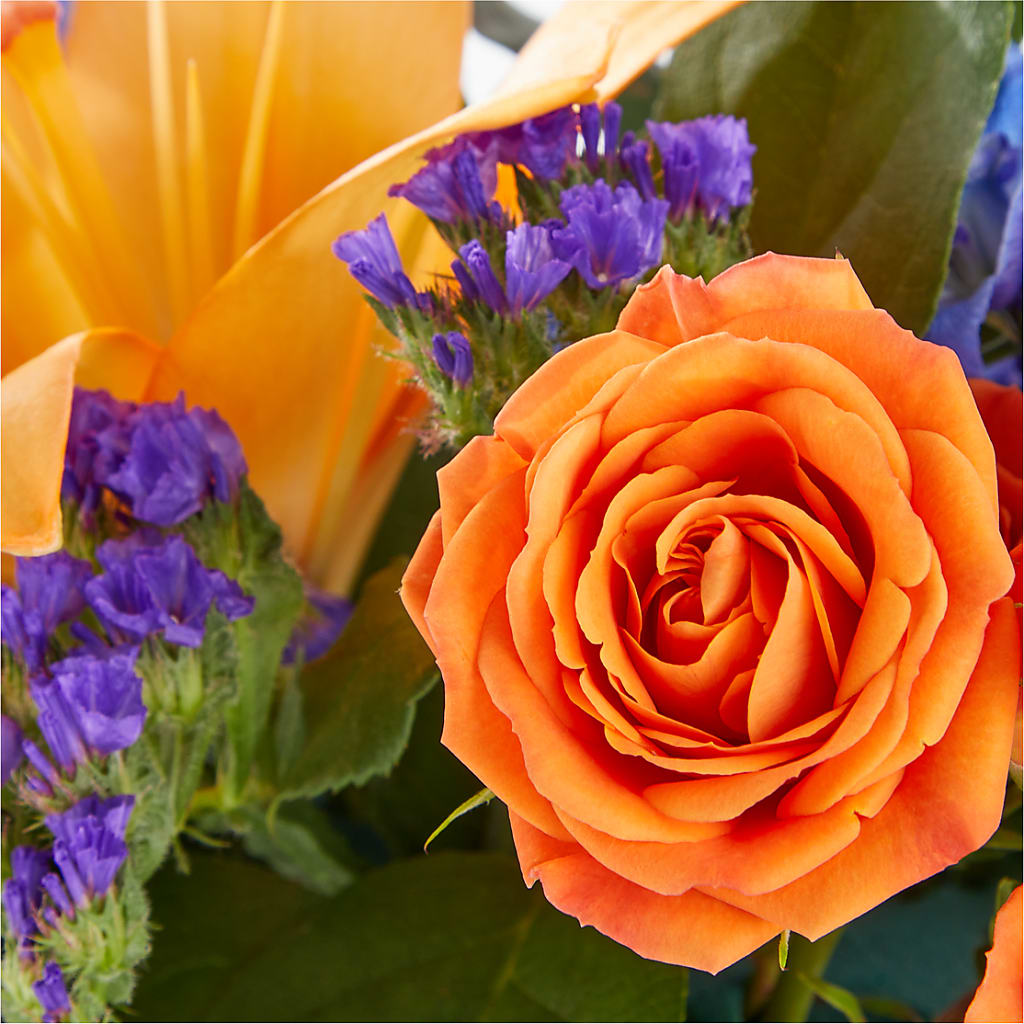 Radiant Citrus Box Bouquet – J C Snyder Florist By Transcend, Harrisburg PA