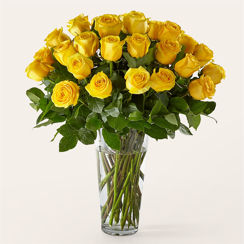 Long Stem Yellow Rose Bouquet – J C Snyder Florist By Transcend, Harrisburg PA