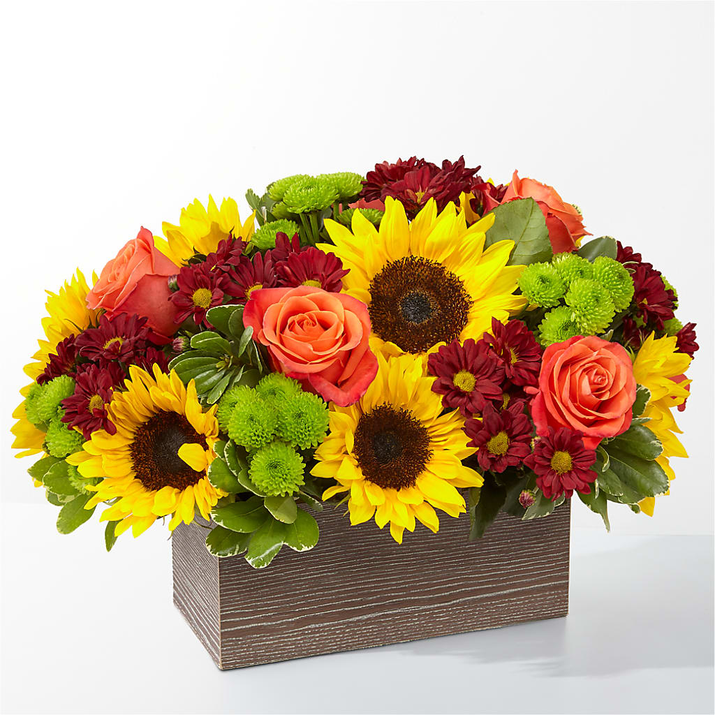 Happy Harvest Garden – J C Snyder Florist By Transcend, Harrisburg PA