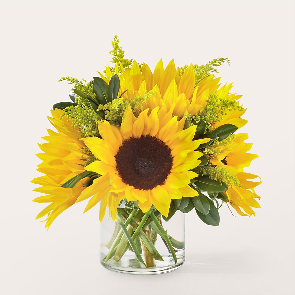 Beaming Sunflower Bouquet – J C Snyder Florist By Transcend, Harrisburg PA
