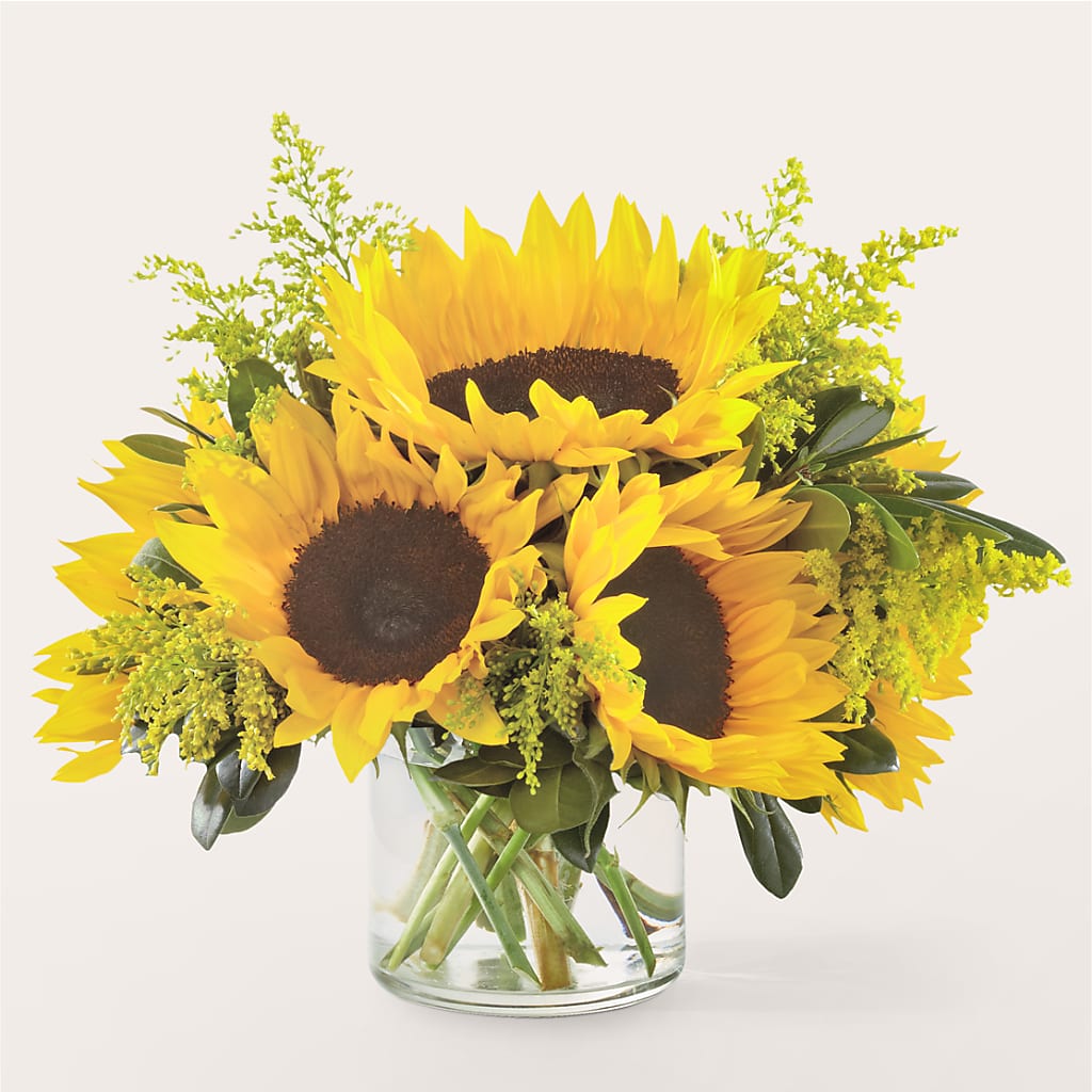Beaming Sunflower Bouquet – J C Snyder Florist By Transcend, Harrisburg PA