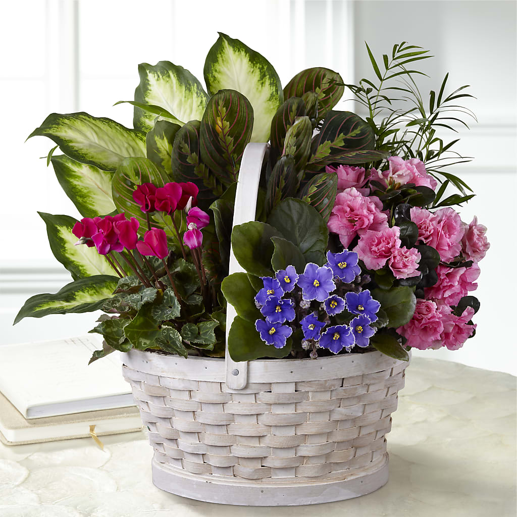 Peaceful Garden Planter – J C Snyder Florist By Transcend, Harrisburg PA