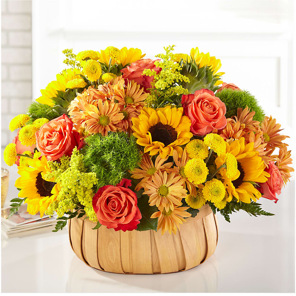 Harvest Sunflower Basket – J C Snyder Florist By Transcend, Harrisburg PA