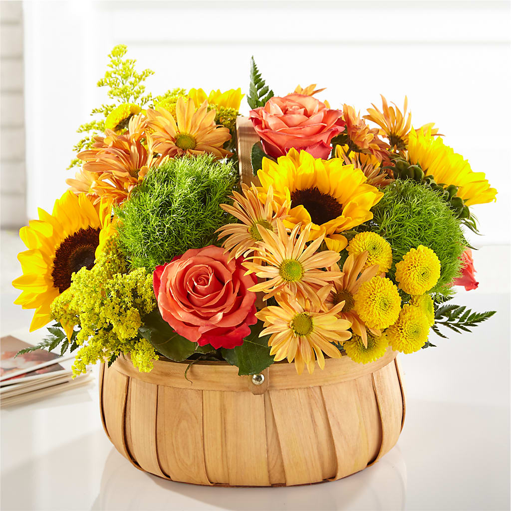 Harvest Sunflower Basket – J C Snyder Florist By Transcend, Harrisburg PA