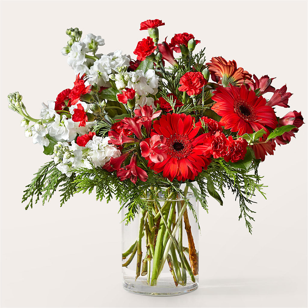 Holidaisy Bouquet – J C Snyder Florist By Transcend, Harrisburg PA