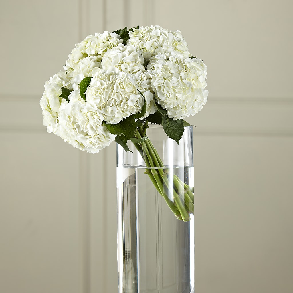 White Hydrangea Hand-Tied Bouquet – J C Snyder Florist By Transcend, Harrisburg PA