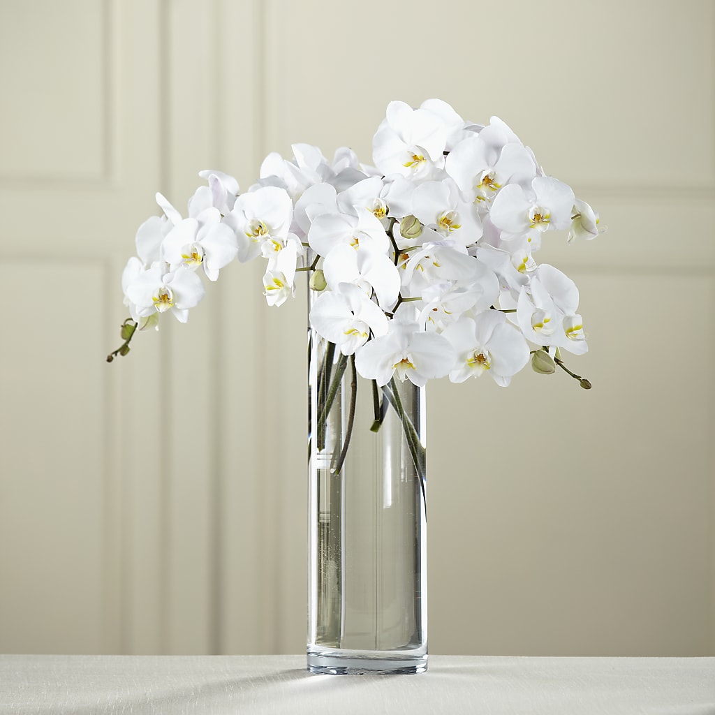 White Phalaenopsis Bouquet – J C Snyder Florist By Transcend, Harrisburg PA