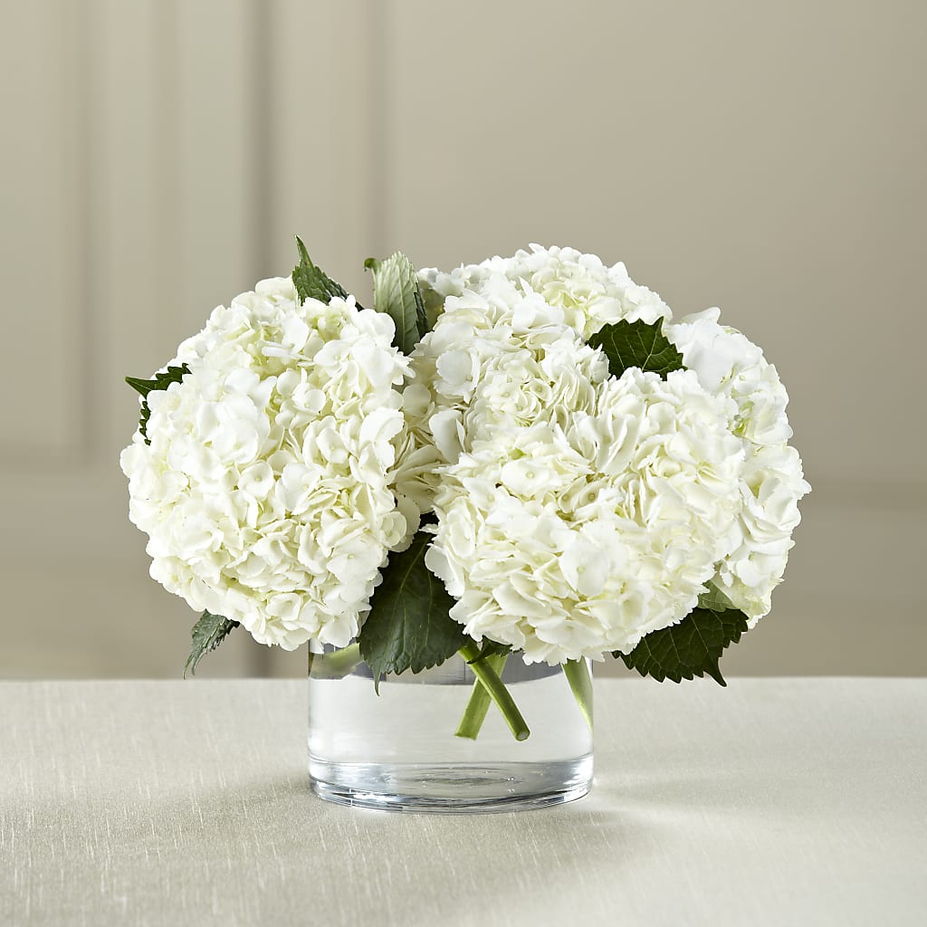White Hydrangea Bouquet – J C Snyder Florist By Transcend, Harrisburg PA
