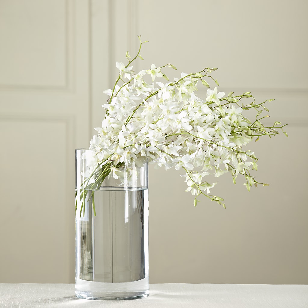 White Dendrobium Bouquet – J C Snyder Florist By Transcend, Harrisburg PA