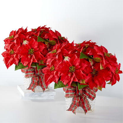Happiest Holidays Poinsettia Bundle –  J C Snyder Florist By Transcend, Harrisburg PA