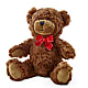 Adorable Plush Bear –  J C Snyder Florist By Transcend, Harrisburg PA