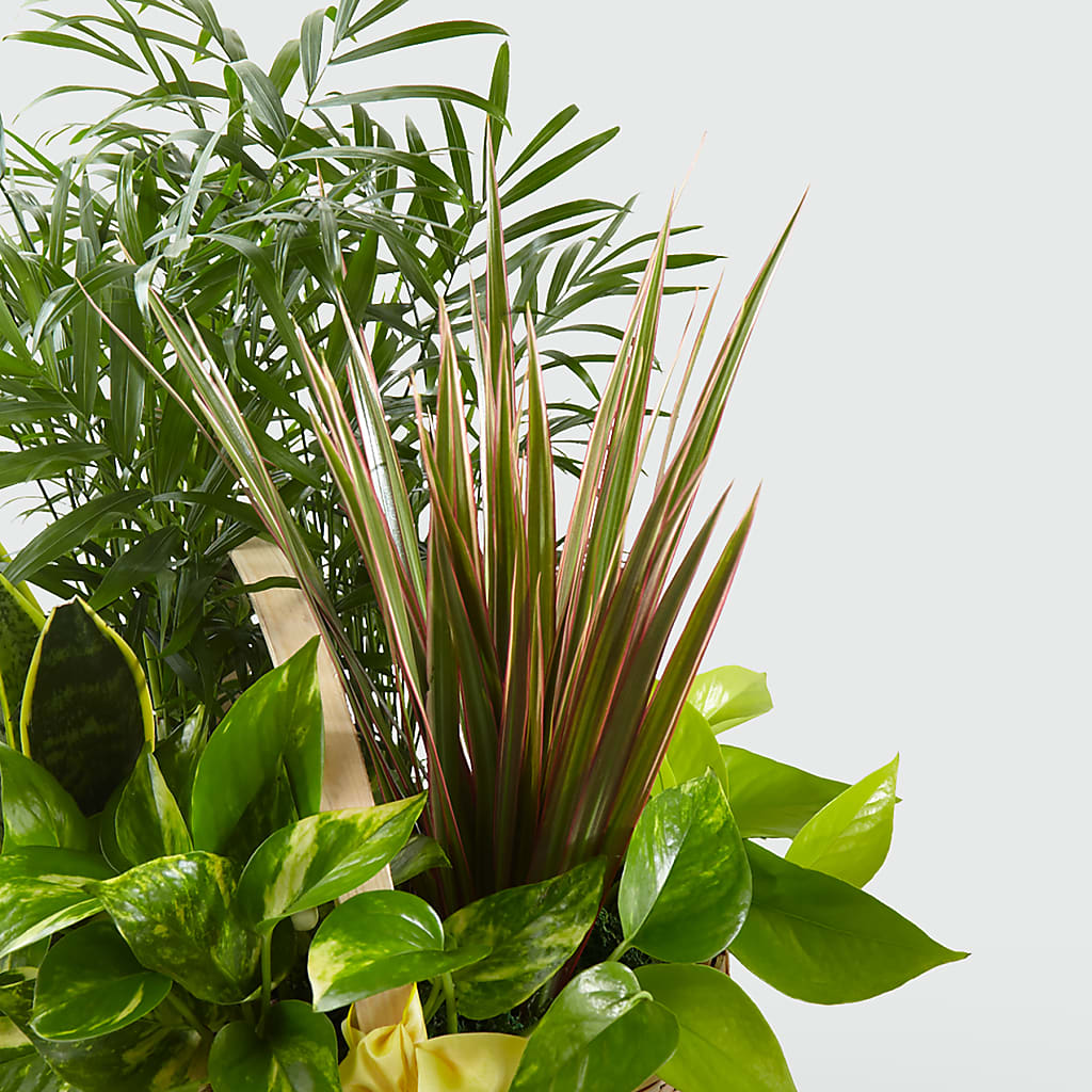 French Garden –  J C Snyder Florist By Transcend, Harrisburg PA