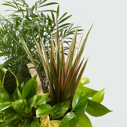 French Garden –  J C Snyder Florist By Transcend, Harrisburg PA