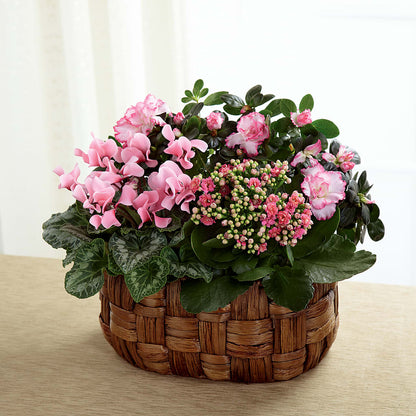 Pink Assortment –  J C Snyder Florist By Transcend, Harrisburg PA