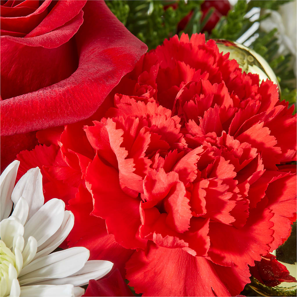 Merry Magic Nutcracker –  J C Snyder Florist By Transcend, Harrisburg PA