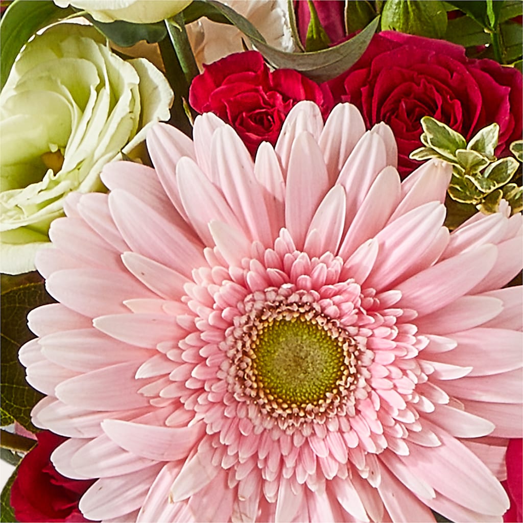 Too Cute Bouquet –  J C Snyder Florist By Transcend, Harrisburg PA