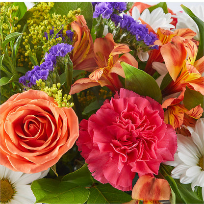 Oopsie Daisy Box Bouquet –  J C Snyder Florist By Transcend, Harrisburg PA