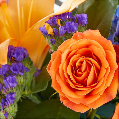 Radiant Citrus Box Bouquet –  J C Snyder Florist By Transcend, Harrisburg PA