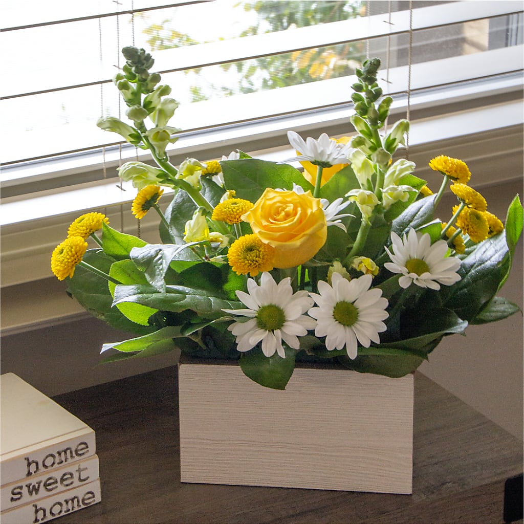 Sun Salutation Box Bouquet –  J C Snyder Florist By Transcend, Harrisburg PA