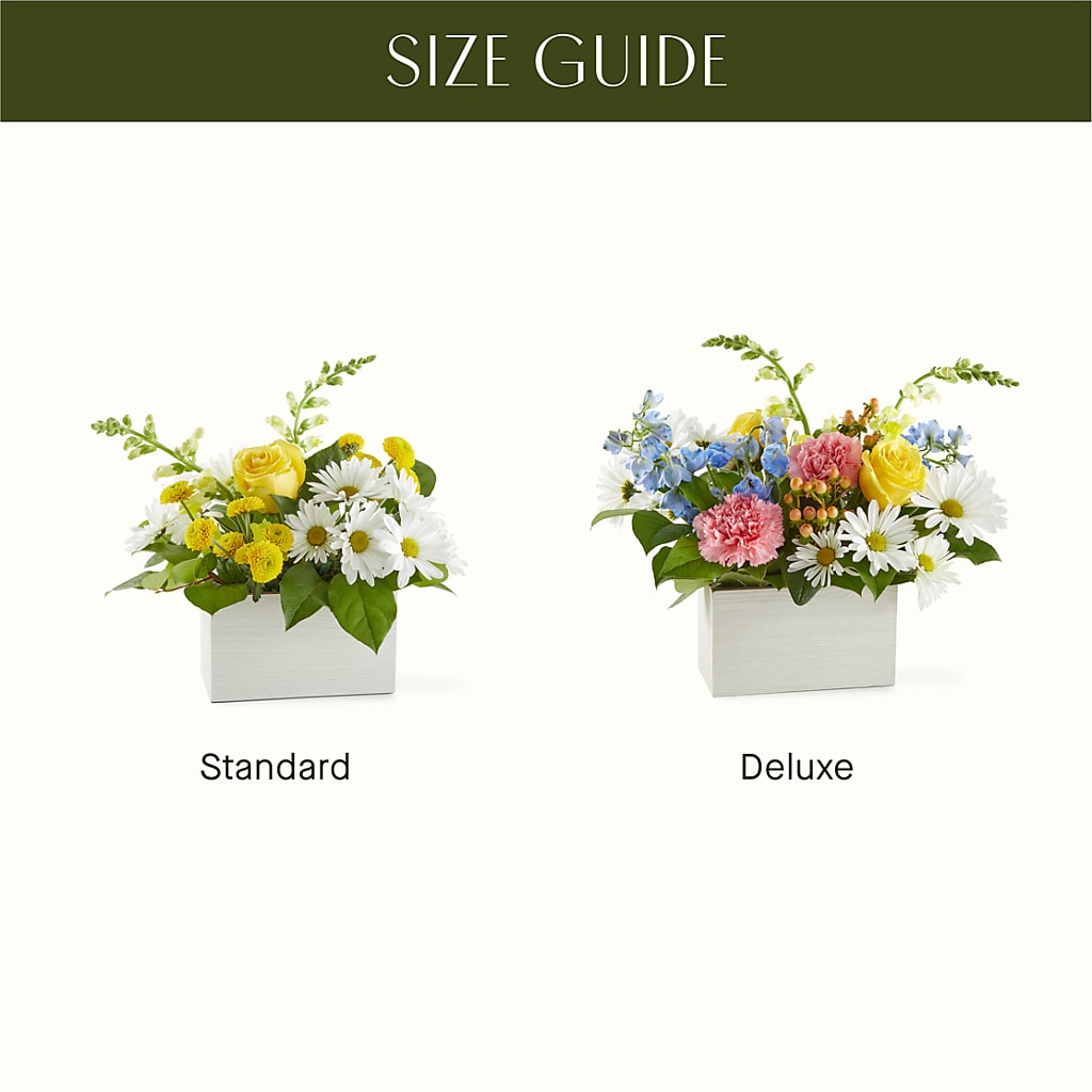 Sun Salutation Box Bouquet –  J C Snyder Florist By Transcend, Harrisburg PA