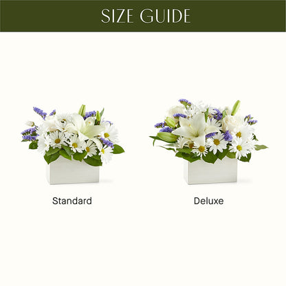 Beyond Blue Box Bouquet –  J C Snyder Florist By Transcend, Harrisburg PA