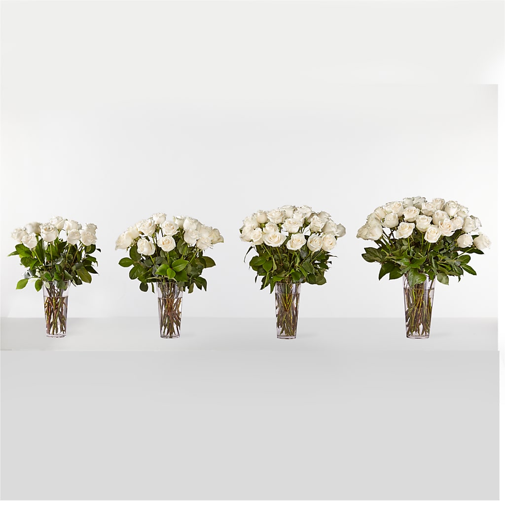 Long Stem White Rose Bouquet –  J C Snyder Florist By Transcend, Harrisburg PA