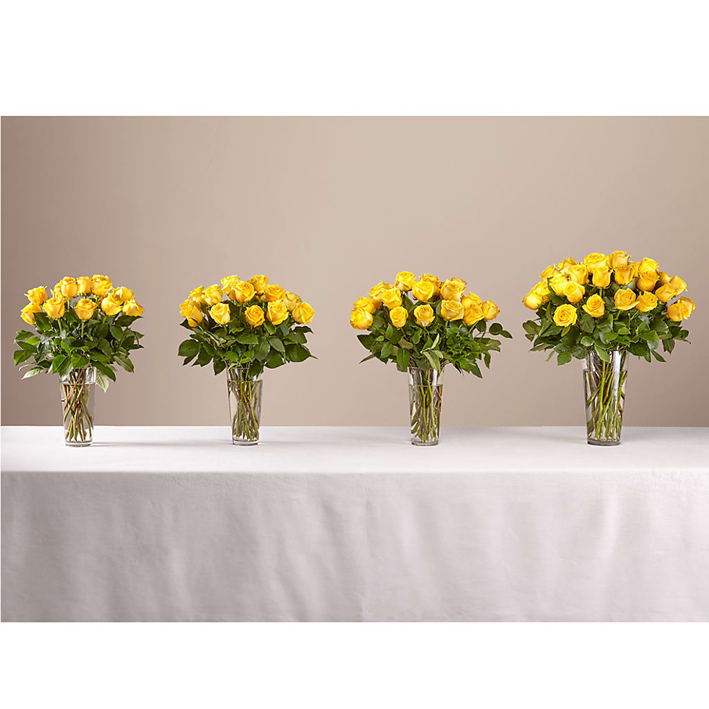 Long Stem Yellow Rose Bouquet –  J C Snyder Florist By Transcend, Harrisburg PA