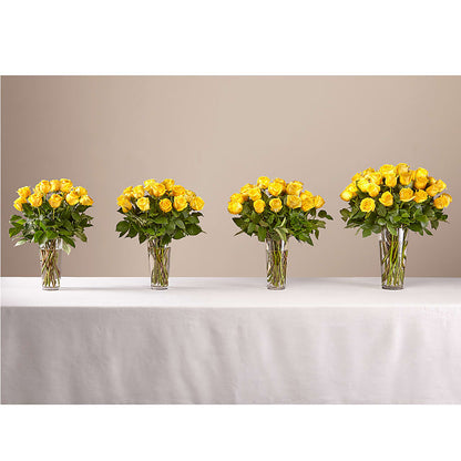 Long Stem Yellow Rose Bouquet –  J C Snyder Florist By Transcend, Harrisburg PA