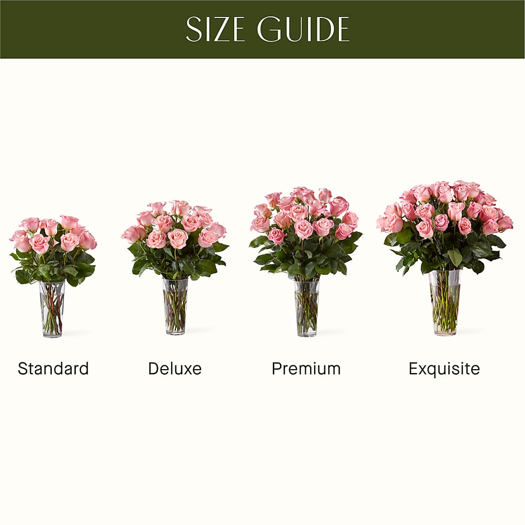 Long Stem Pink Rose Bouquet –  J C Snyder Florist By Transcend, Harrisburg PA