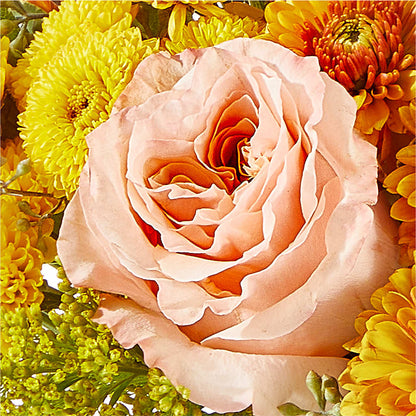 Peachy Pumpkin –  J C Snyder Florist By Transcend, Harrisburg PA