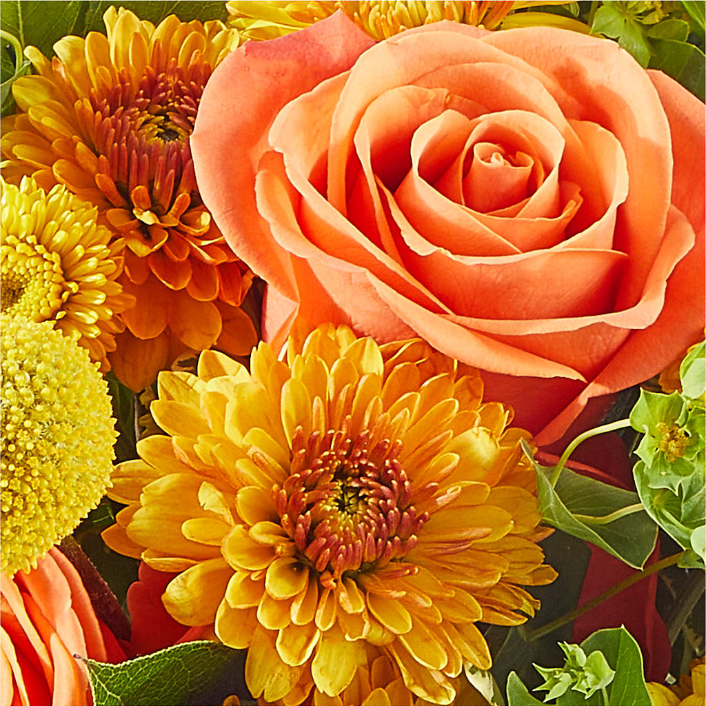 Gourdgeous Pumpkin –  J C Snyder Florist By Transcend, Harrisburg PA