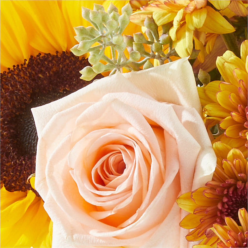 Pumpkin to Talk About Bouquet –  J C Snyder Florist By Transcend, Harrisburg PA