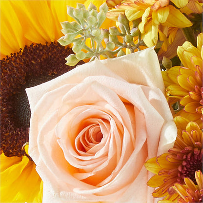 Pumpkin to Talk About Bouquet –  J C Snyder Florist By Transcend, Harrisburg PA
