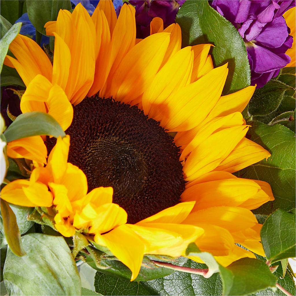 Catching Rays Bouquet –  J C Snyder Florist By Transcend, Harrisburg PA