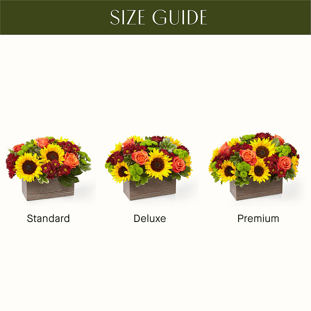 Happy Harvest Garden –  J C Snyder Florist By Transcend, Harrisburg PA