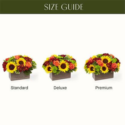 Happy Harvest Garden –  J C Snyder Florist By Transcend, Harrisburg PA