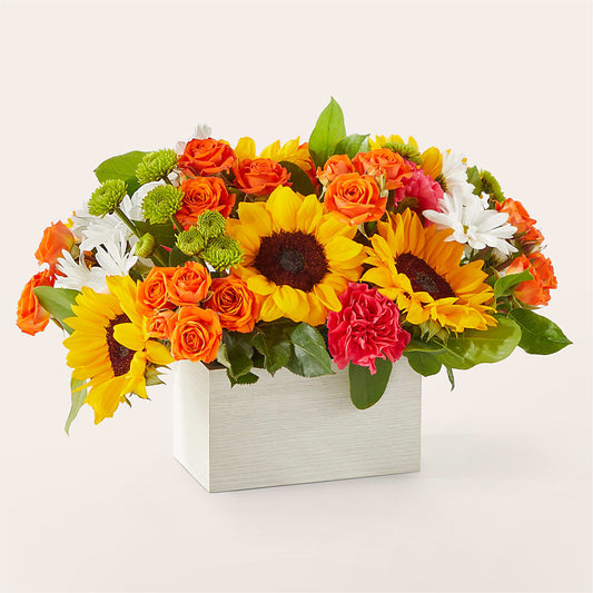 Sun-drenched Blooms Box Bouquet –  J C Snyder Florist By Transcend, Harrisburg PA