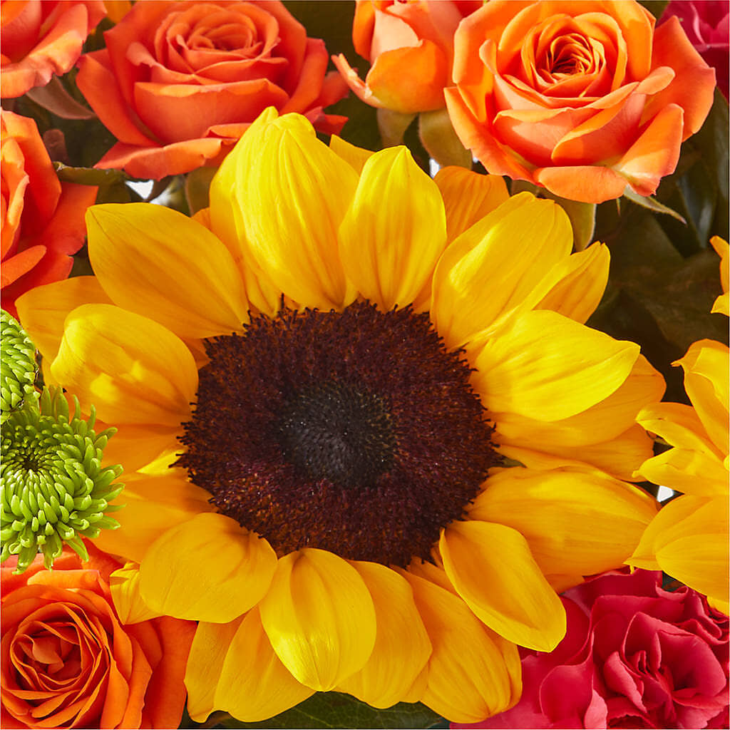 Sun-drenched Blooms Box Bouquet –  J C Snyder Florist By Transcend, Harrisburg PA