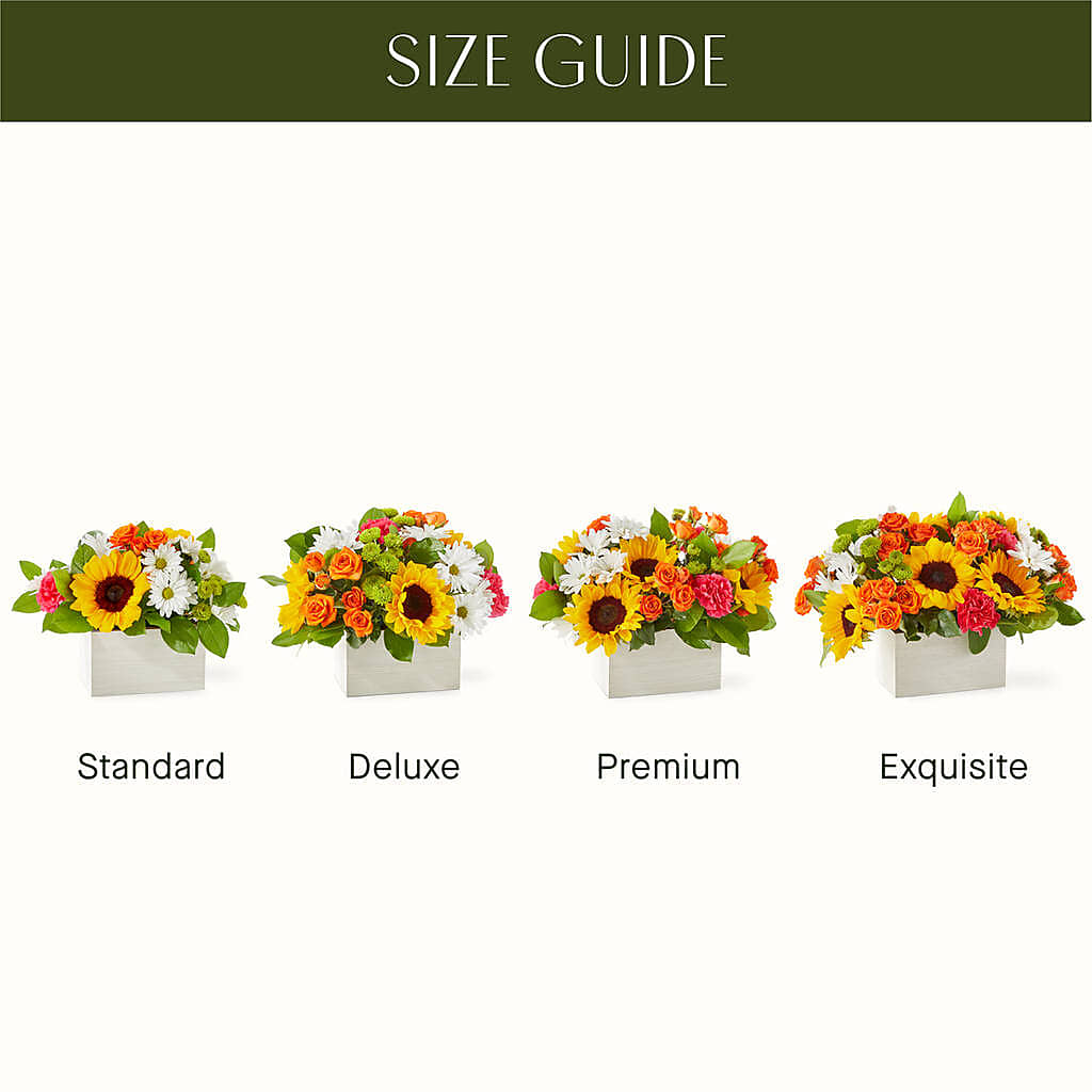 Sun-drenched Blooms Box Bouquet –  J C Snyder Florist By Transcend, Harrisburg PA