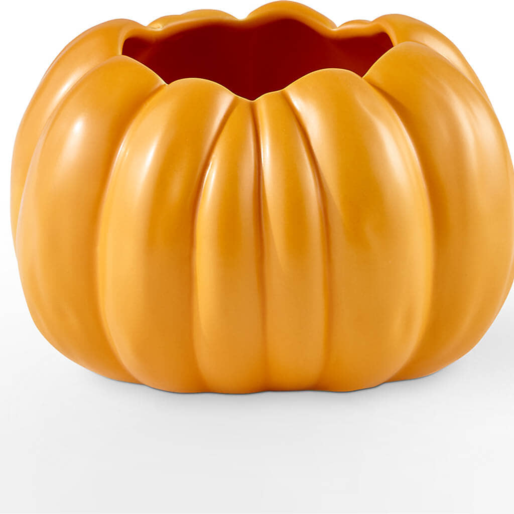 Golden Gourd Pumpkin Bouquet –  J C Snyder Florist By Transcend, Harrisburg PA