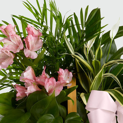 Living Spirit Dishgarden –  J C Snyder Florist By Transcend, Harrisburg PA