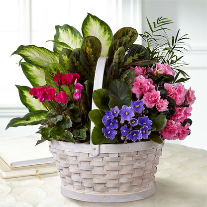 Peaceful Garden Planter –  J C Snyder Florist By Transcend, Harrisburg PA