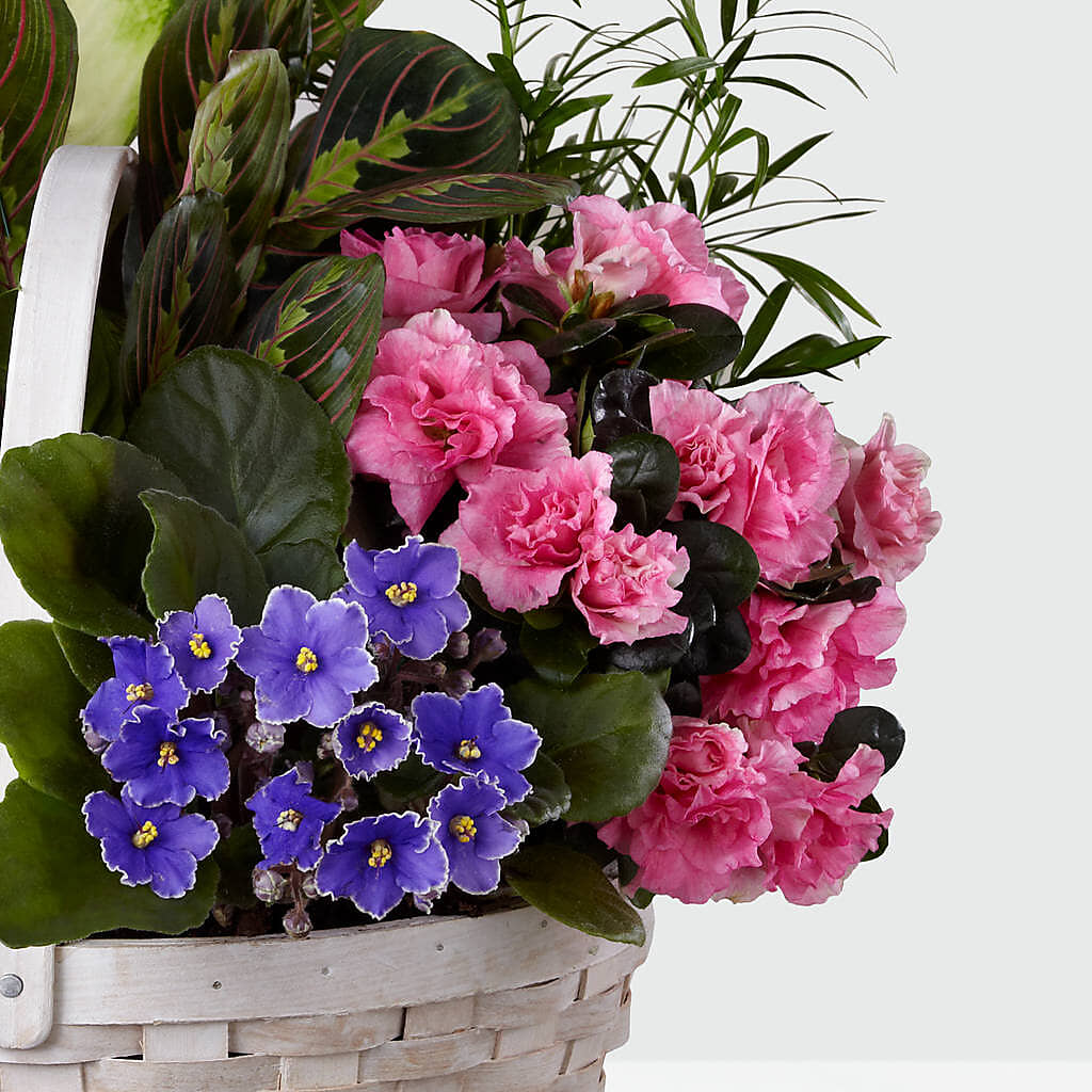 Peaceful Garden Planter –  J C Snyder Florist By Transcend, Harrisburg PA