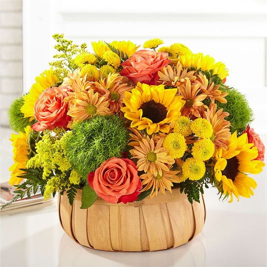 Harvest Sunflower Basket –  J C Snyder Florist By Transcend, Harrisburg PA