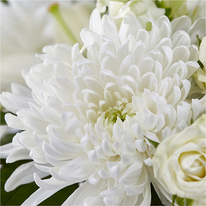 Classic Ivory – A Florist Original –  J C Snyder Florist By Transcend, Harrisburg PA